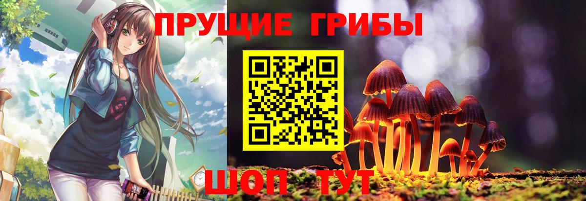 закладки  Галлюциногенные грибы MAGIC MUSHROOMS  Ленинск-Кузнецкий  Вход с VPN  Галлюциногенные грибы GOLDEN TEACHER 